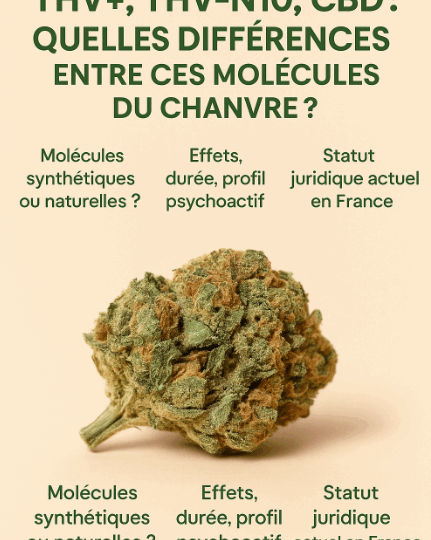 différences THV+ THV-N10 CBD