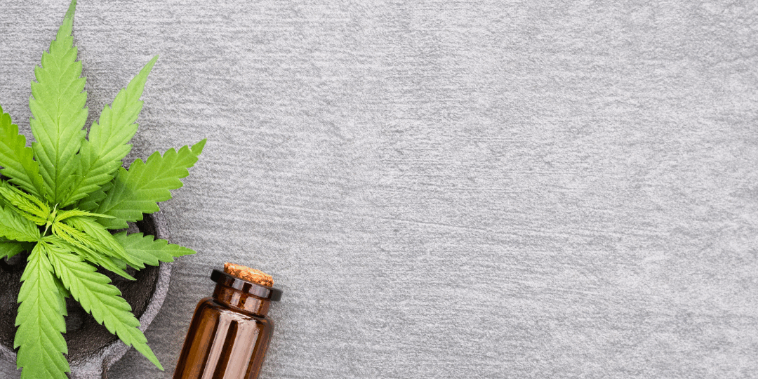 CBD et système immunitaire :