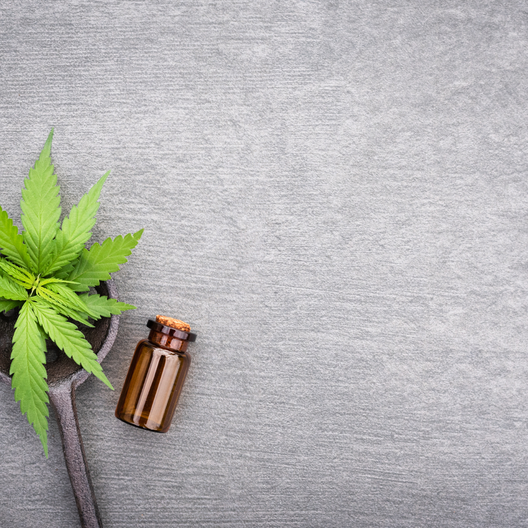 CBD et système immunitaire :