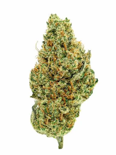 Extraction au CO2 supercritique
