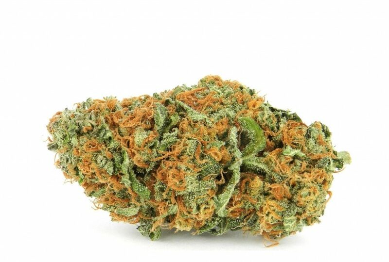CBD en France