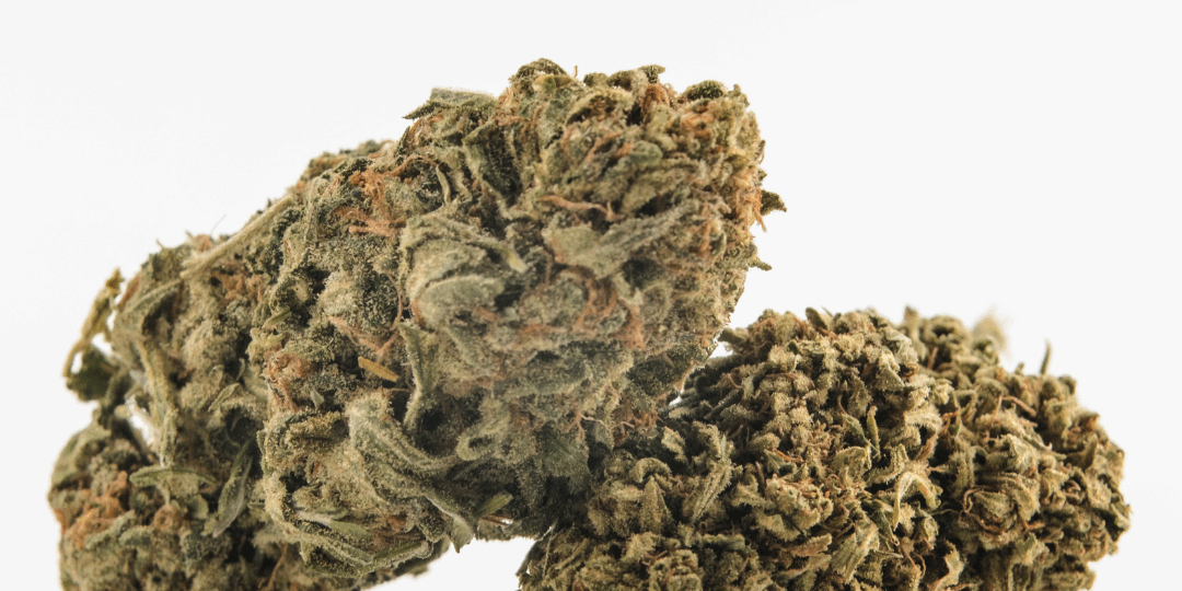 effet biphase du CBD