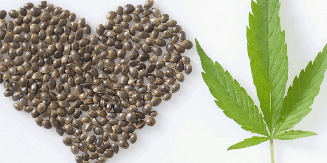 Respiration + CBD