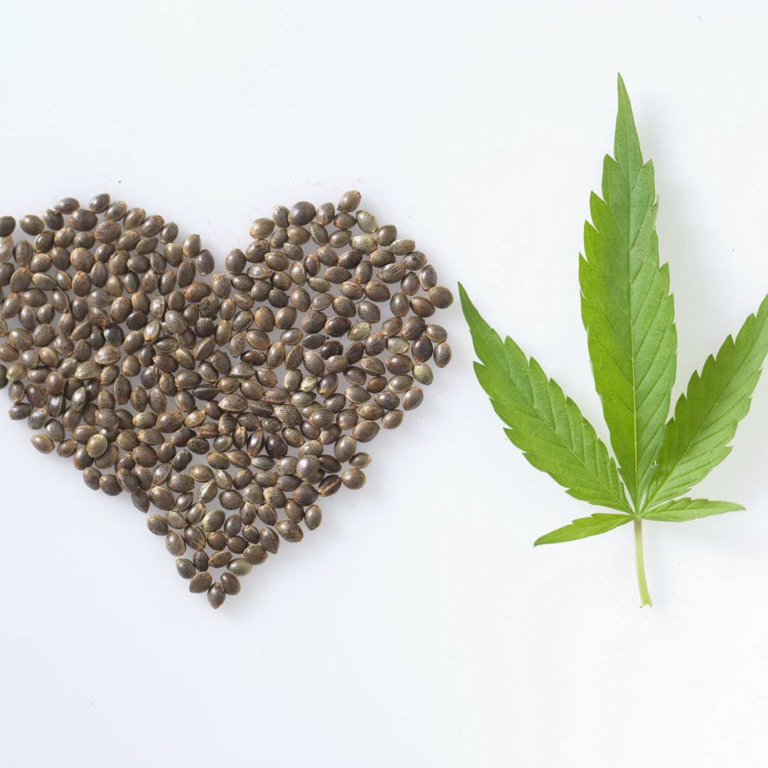Respiration + CBD 