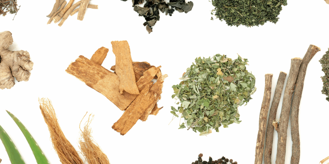 plantes adaptogènes et vitalité naturelle