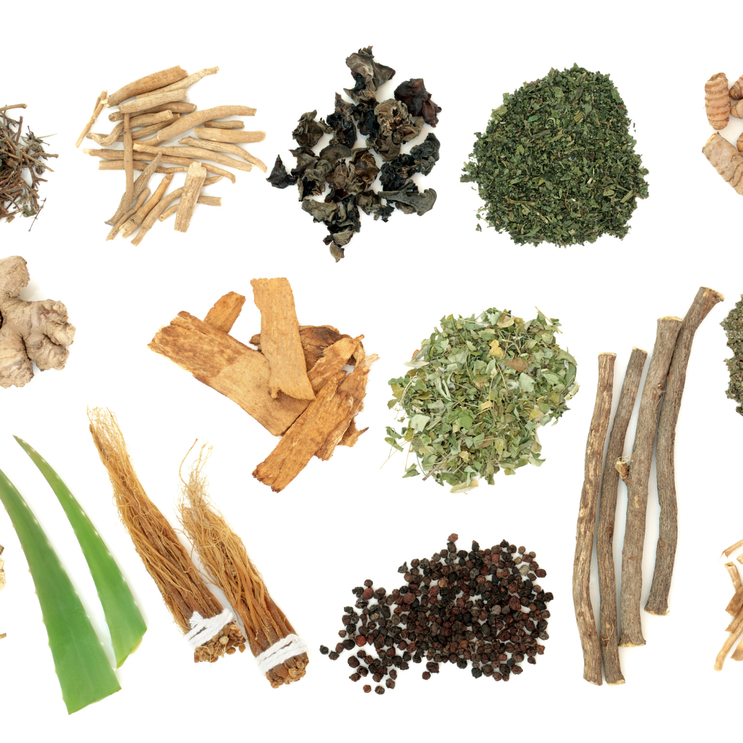 plantes adaptogènes et vitalité naturelle