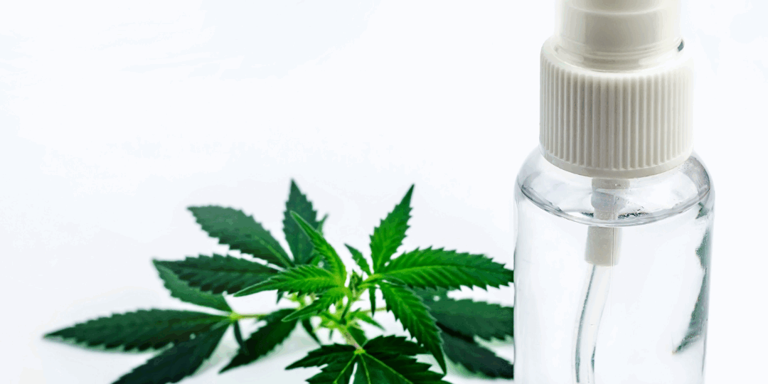 CBD hydrosoluble